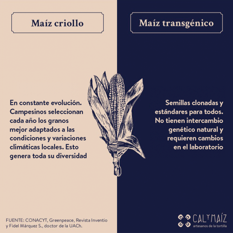 78635564_2442307126041221_8232556316124512256_n