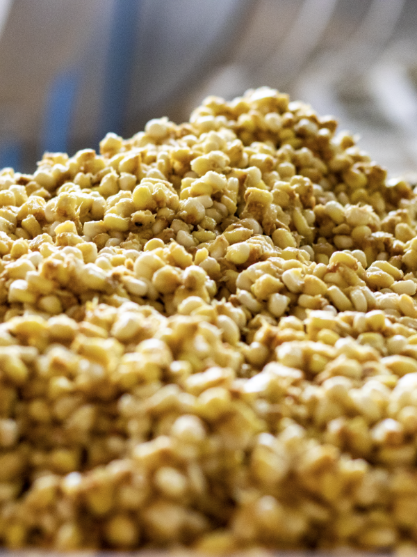 Captura de Pantalla 2024-01-03 a la(s) 11.12.03 p.m.